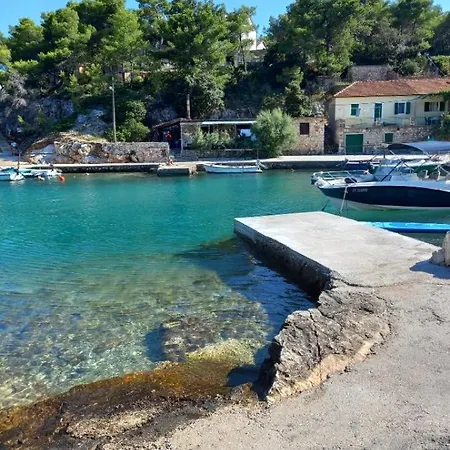 Marin Basina
